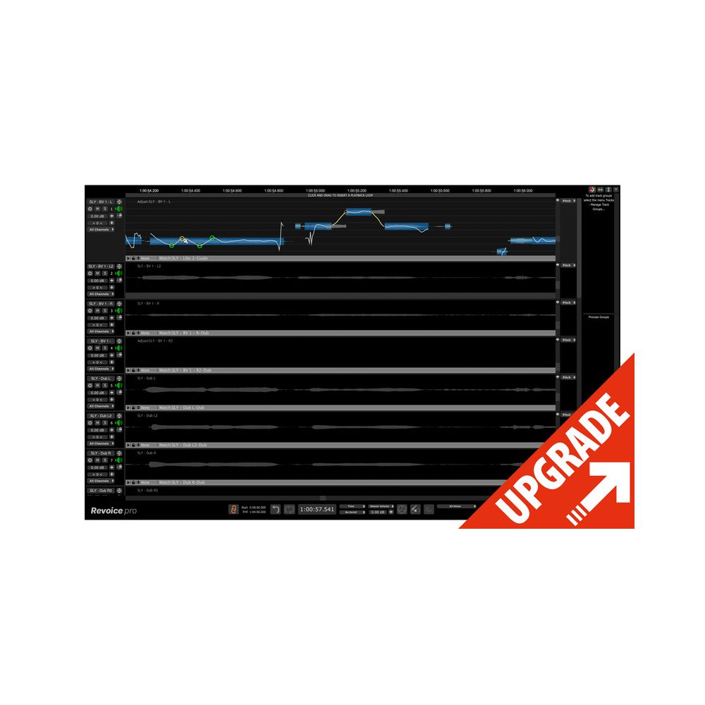 Synchro Arts Revoice Pro 5 UG Revoice Pro 4 – Thomann Ireland