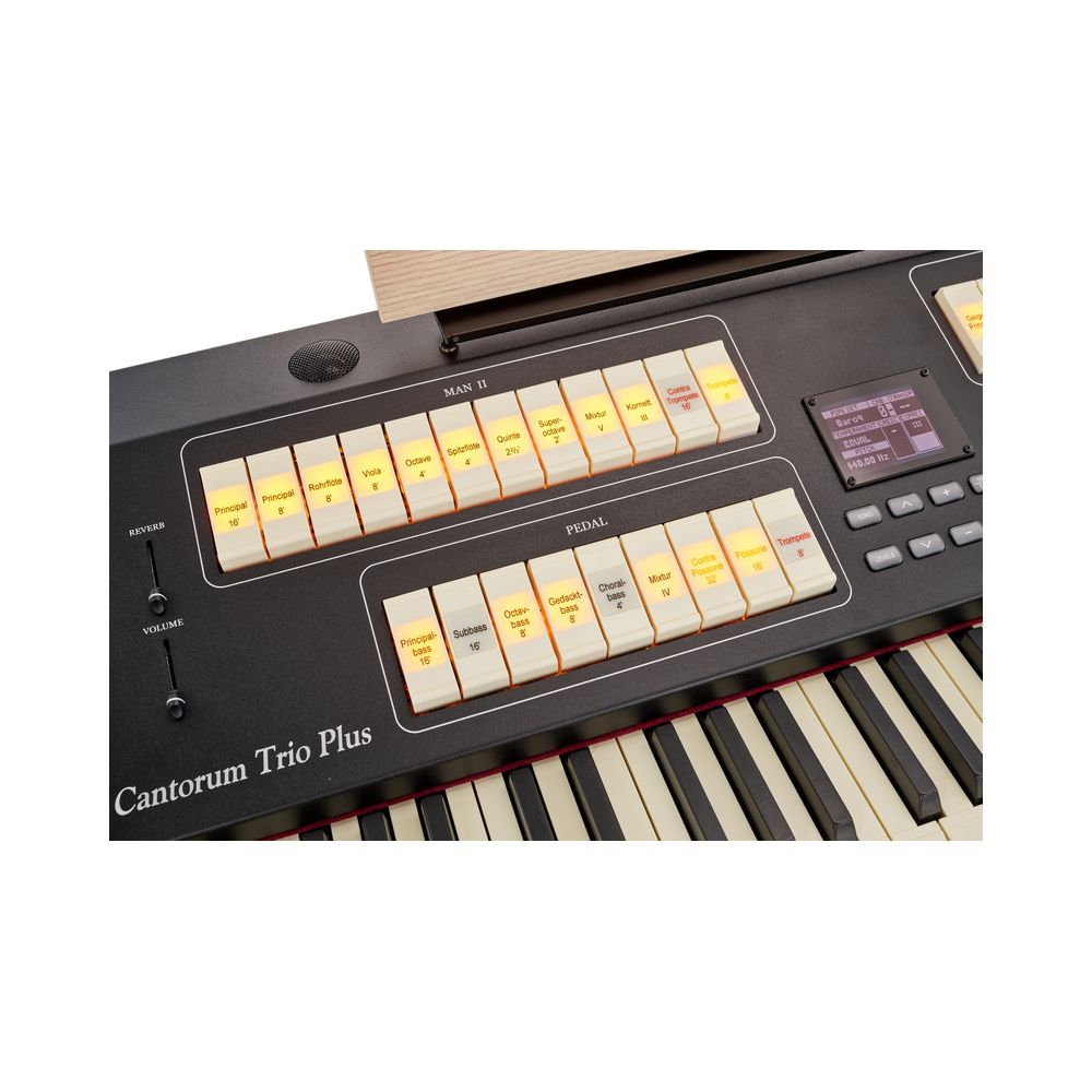 Viscount Cantorum Trio Plus – Thomann Ireland
