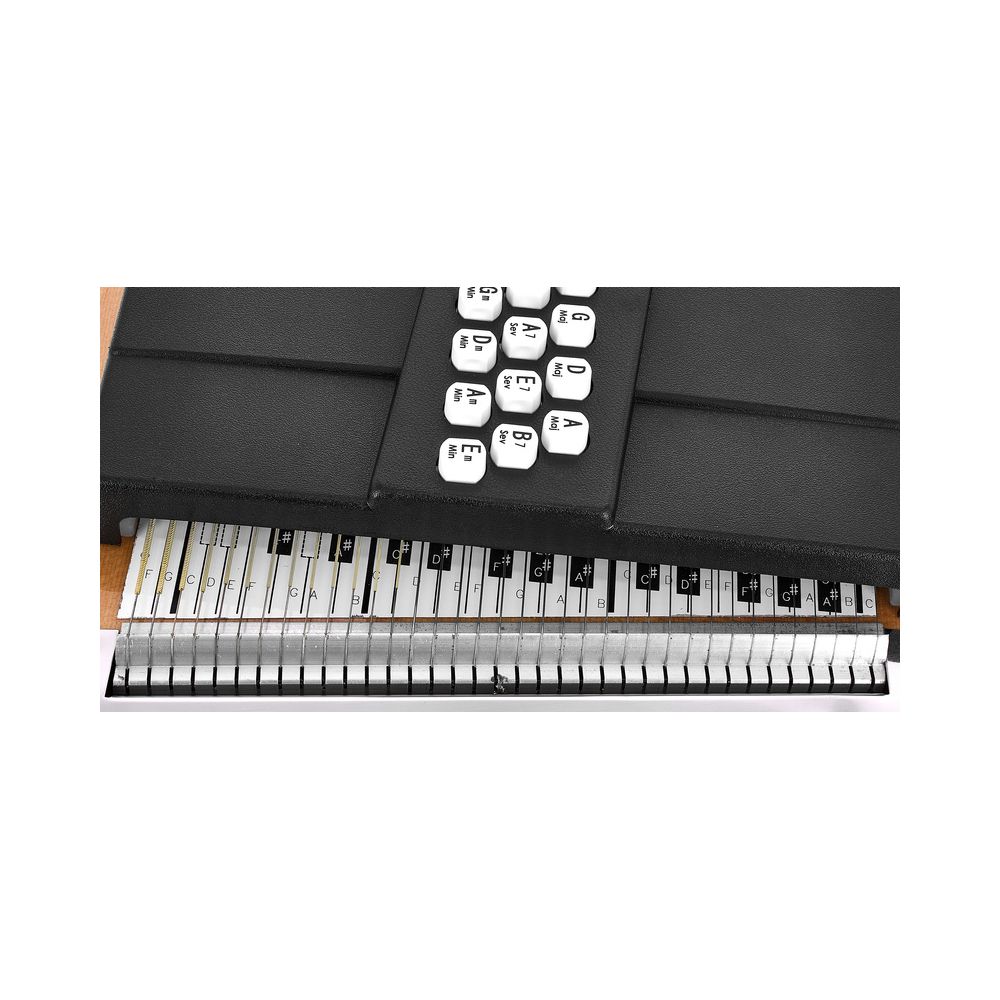 Oscar Schmidt OS45C Autoharp Appalachian – Thomann Ireland