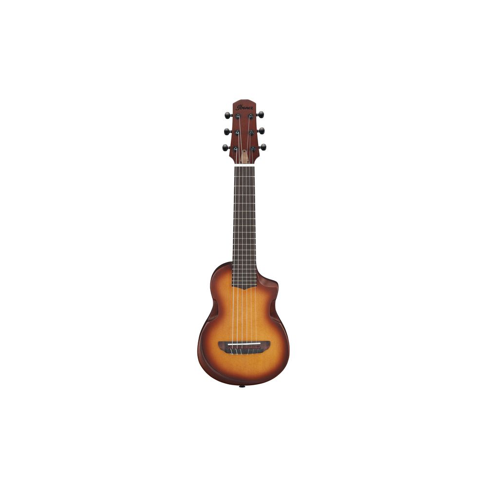 Ibanez AUP10N