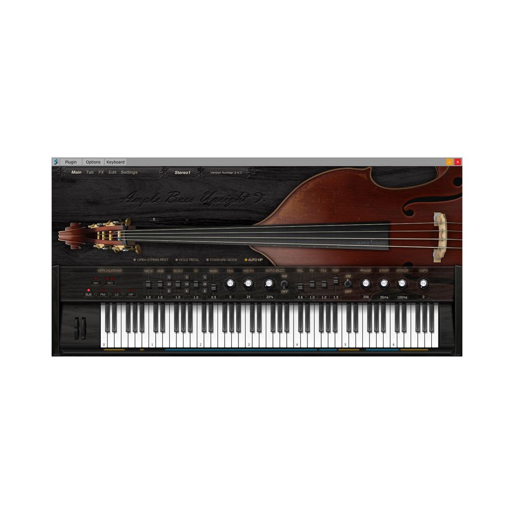 Ample Sound Ample Bass Upright v4 – Thomann Ireland