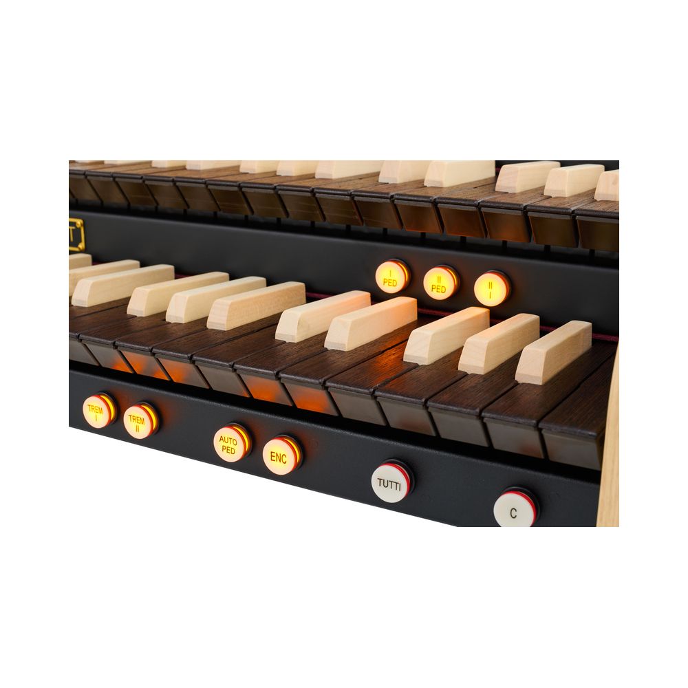 Viscount Cantorum Duo Plus