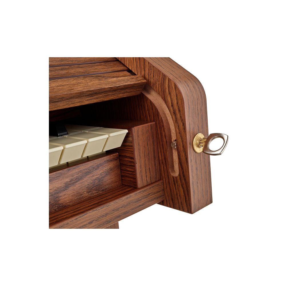 Viscount Chorum 10 Dark – Thomann Ireland
