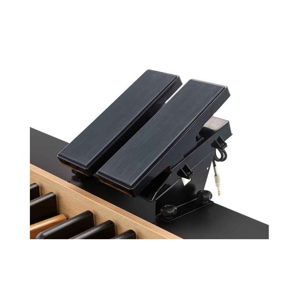 Viscount MIDI Bass Pedal 30 Radial – Thomann Ireland