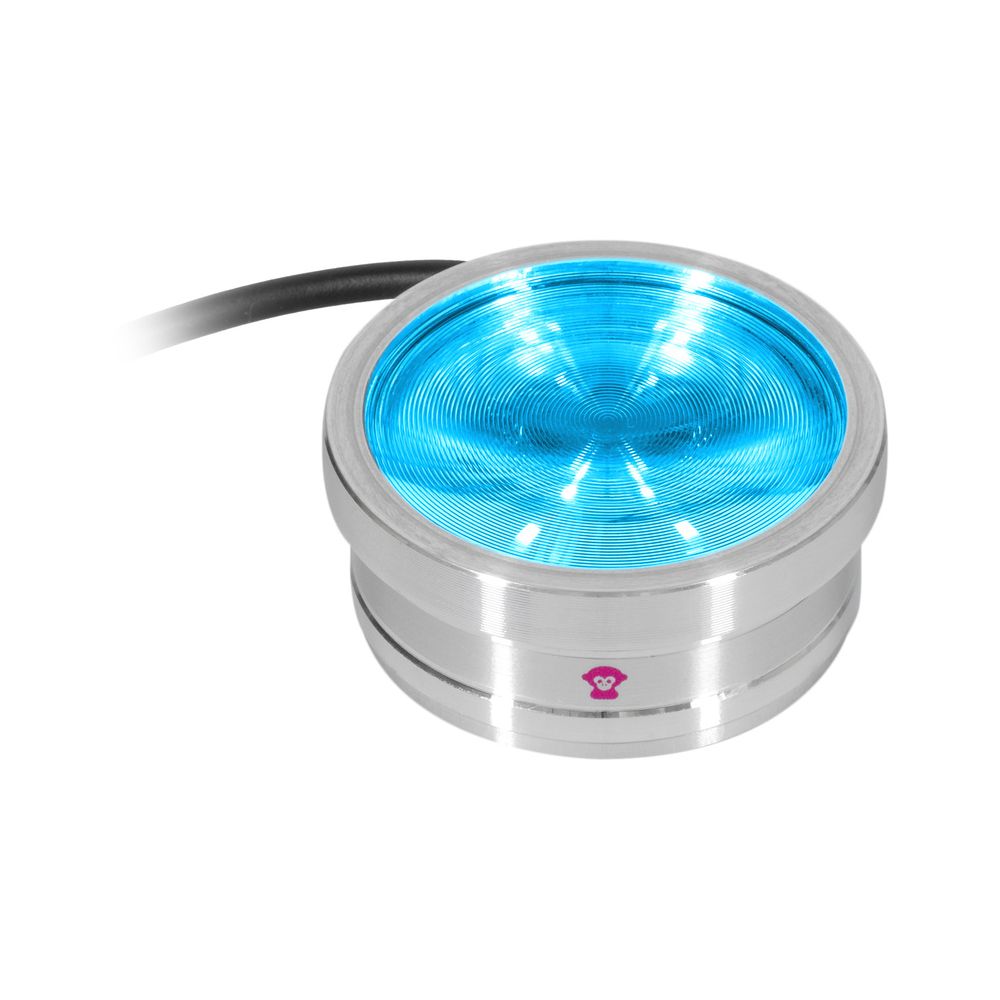 Ape Labs ApeCoin V2 IP – Thomann Ireland