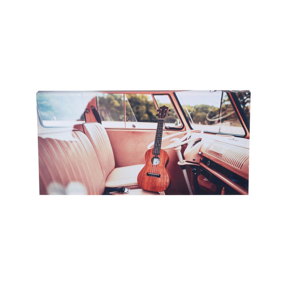 t.akustik Print Panel Driving Uke – Thomann Ireland