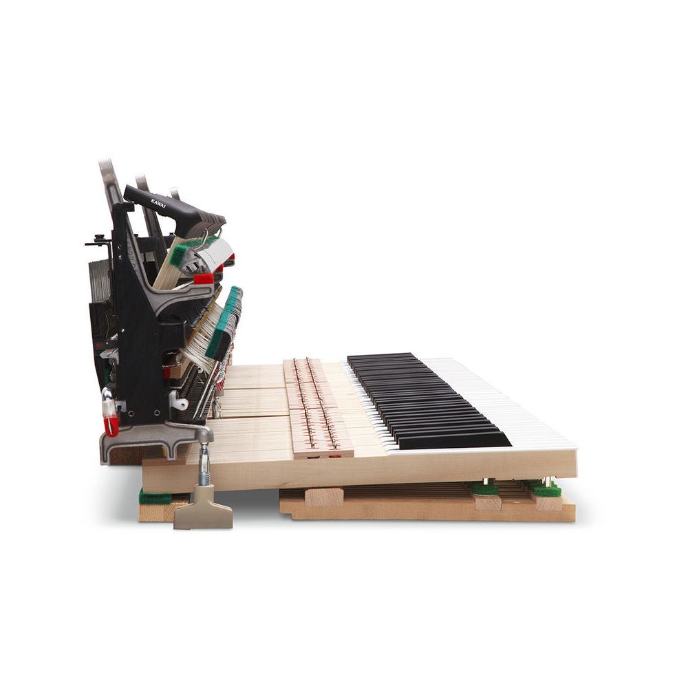 Kawai Novus NV