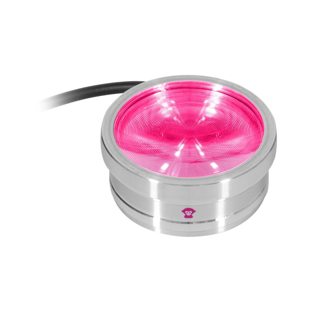 Ape Labs ApeCoin V2 IP Set of 4 – Thomann Ireland