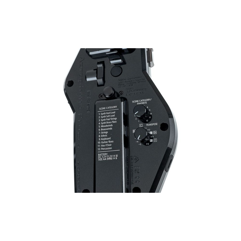 Roland Aerophone Pro AE