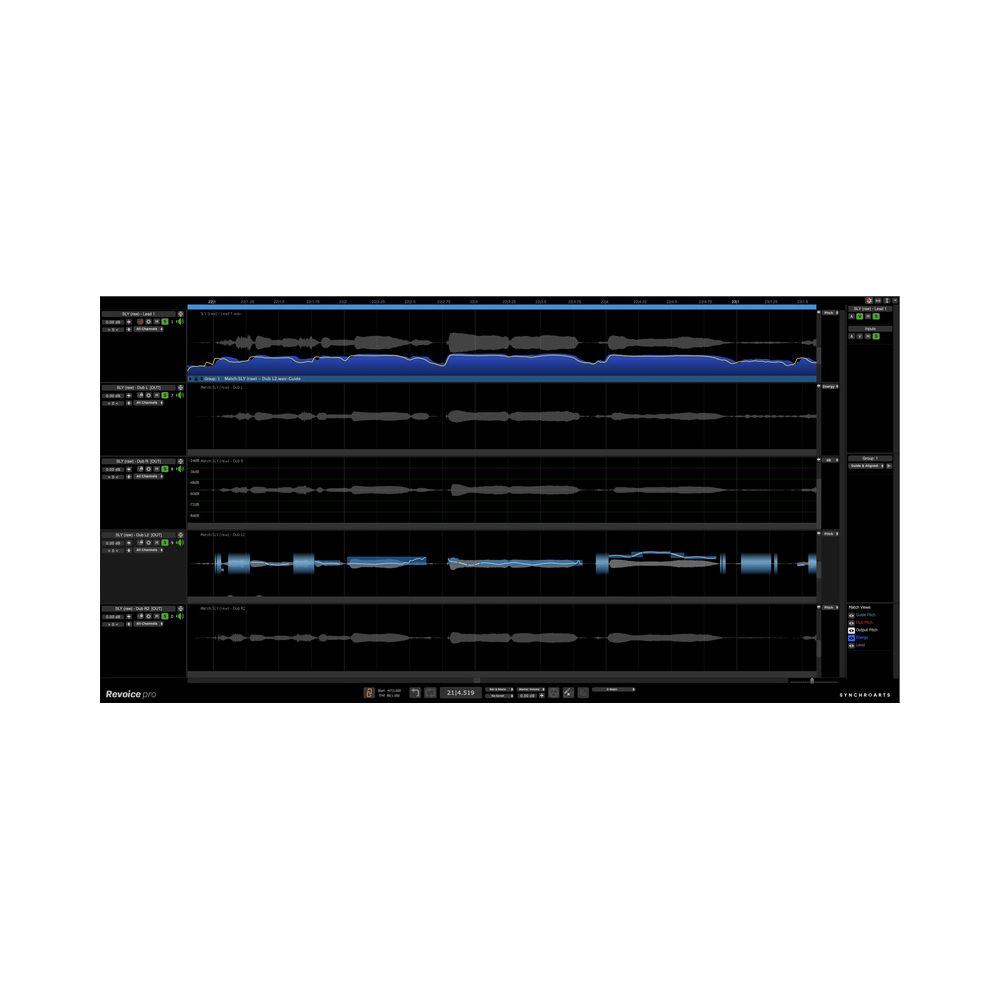 Synchro Arts Revoice Pro 5 UG Revoice Pro 4 – Thomann Ireland
