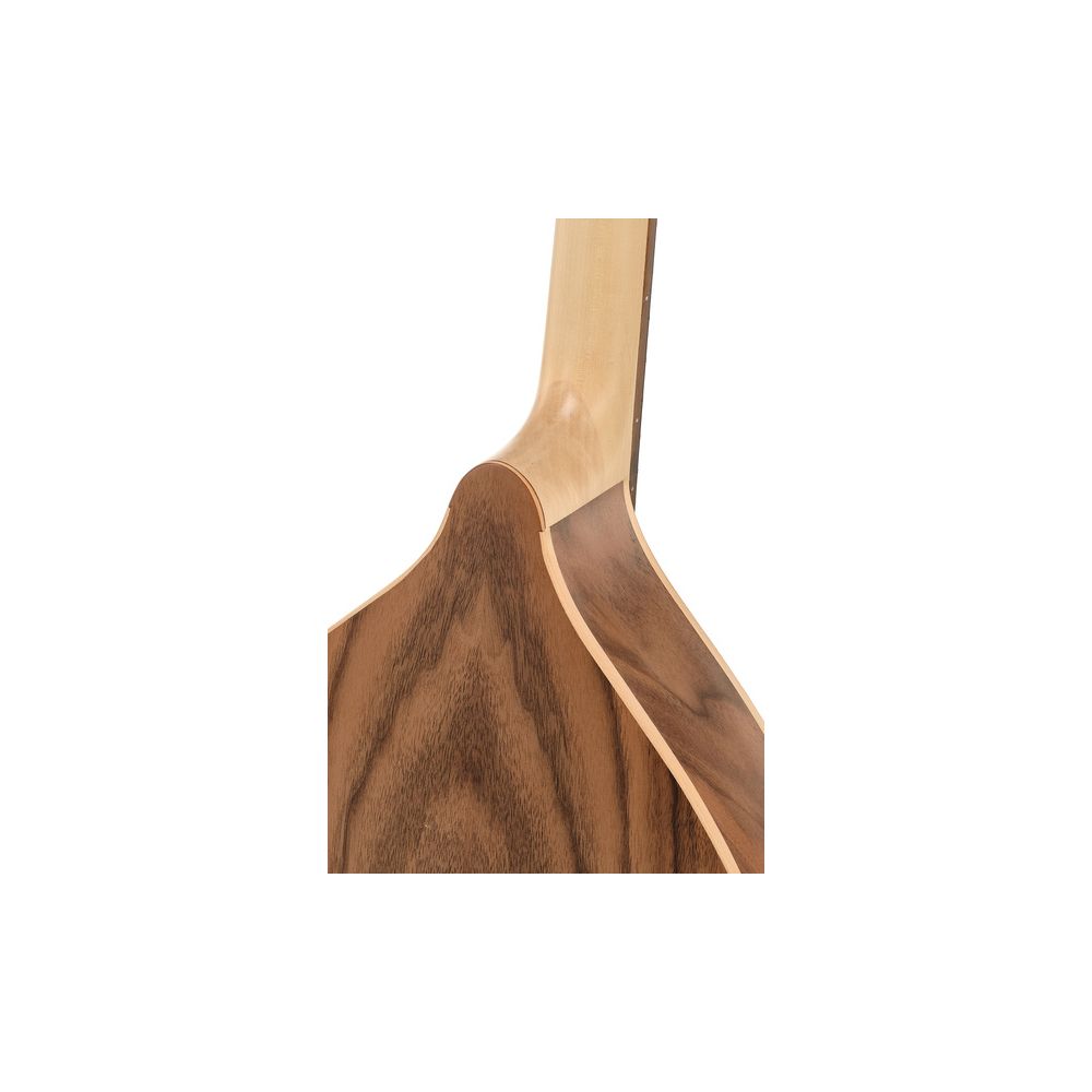 Gewa Pro Natura Irish Bouzouki – Thomann Ireland