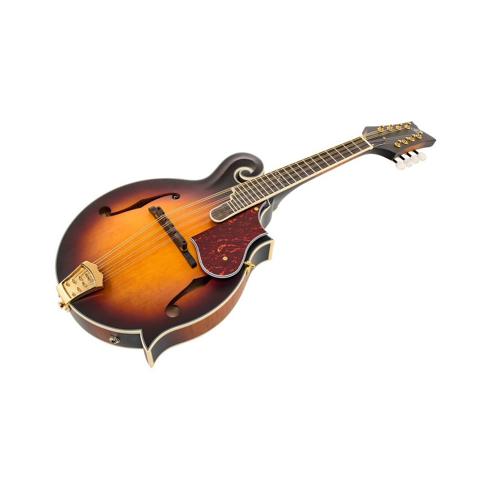 Ortega RMFE100AVO – Thomann Ireland