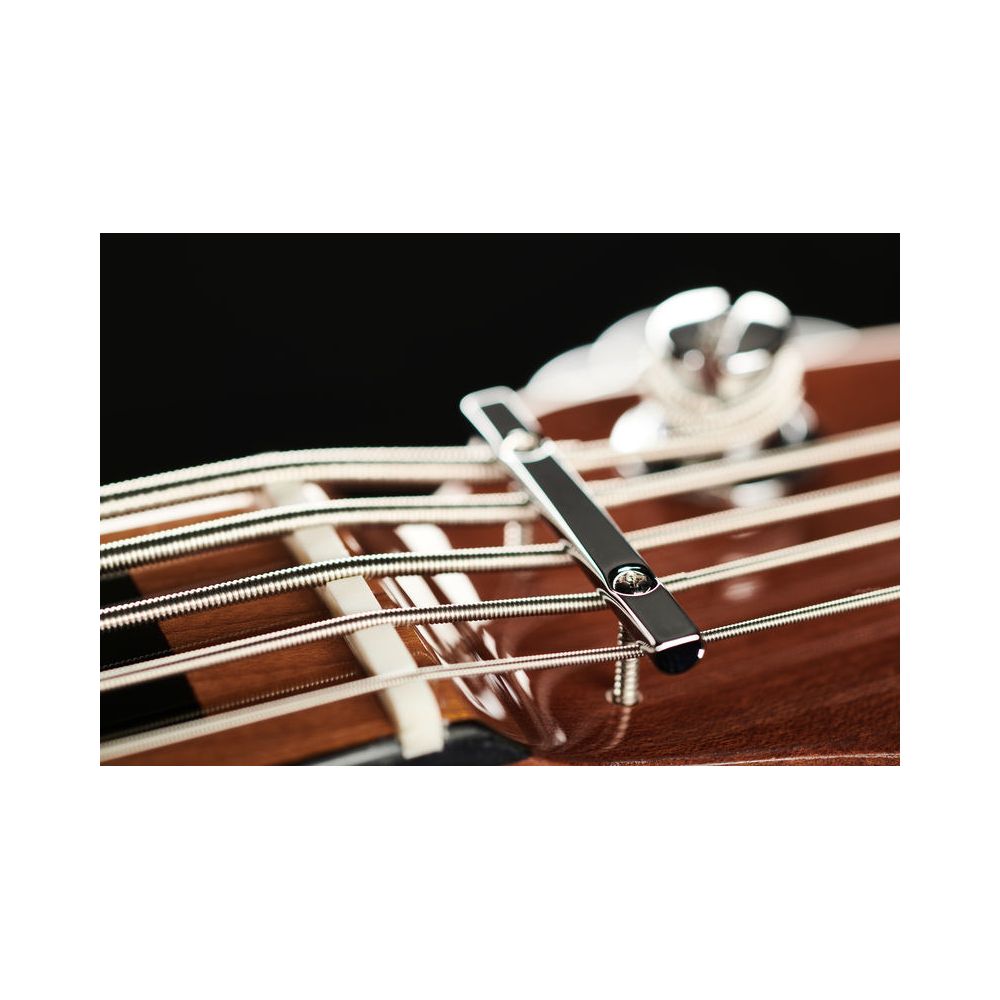 Marcus Miller V5 Alder