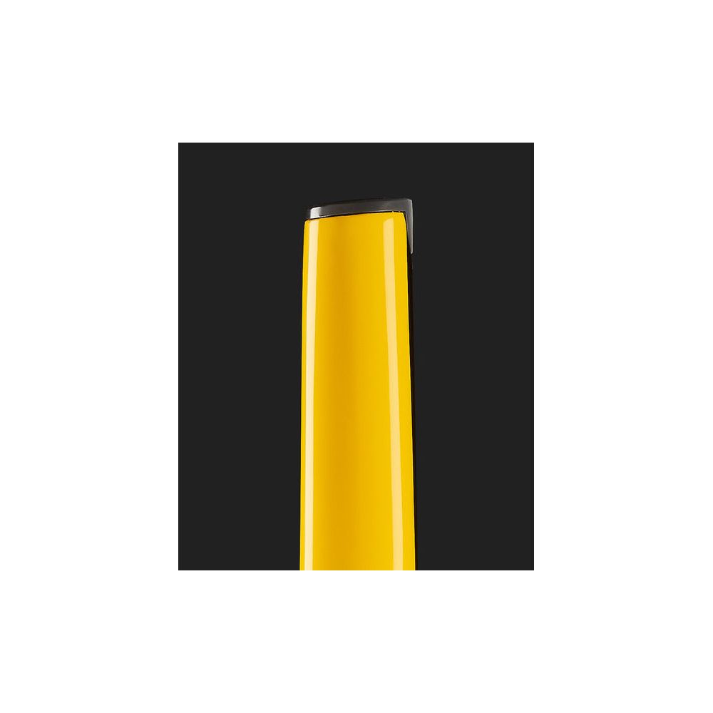 Steinberger Guitars Spirit XT