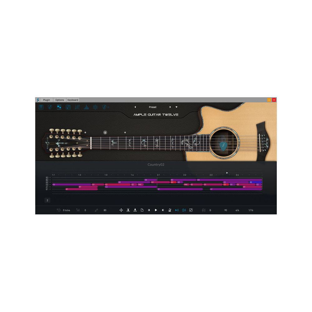 Ample Sound Ample Guitar Twelve III – Thomann Ireland