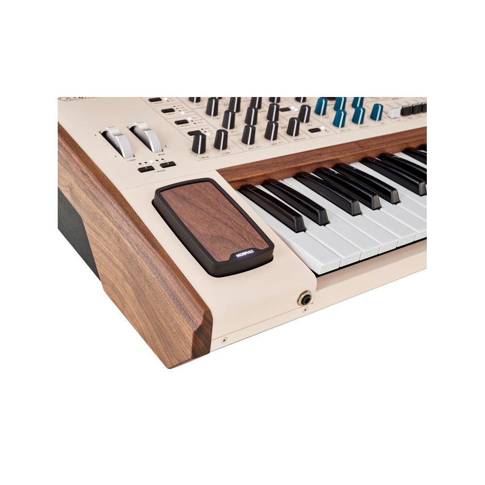 Arturia PolyBrute 12 – Thomann Ireland