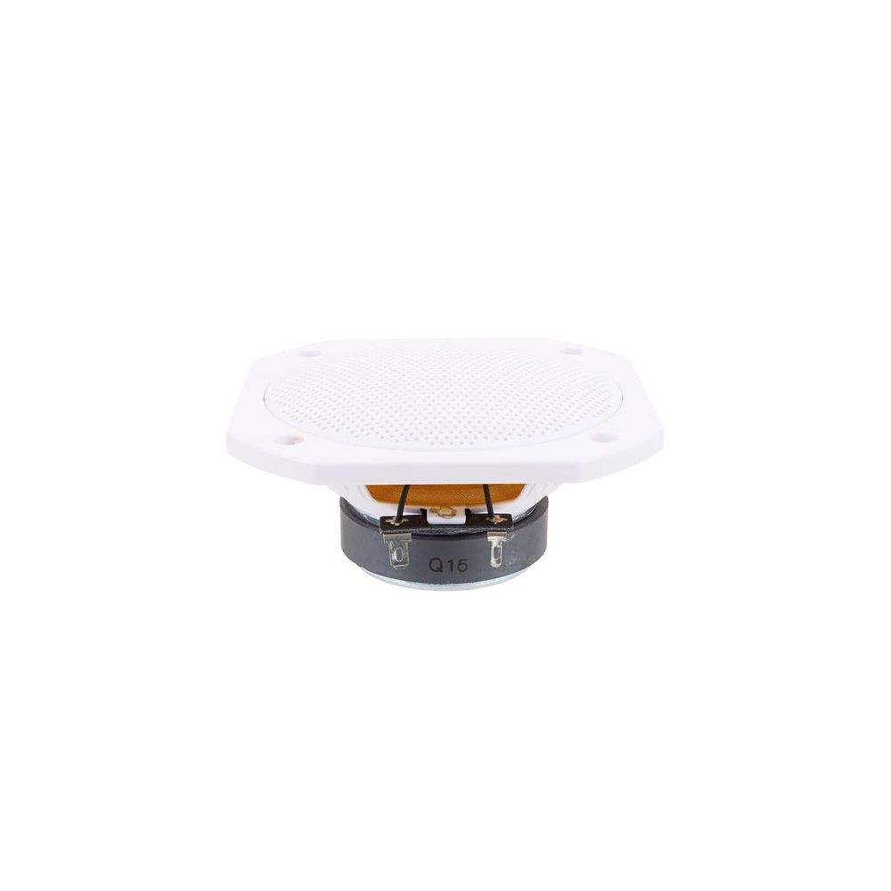 Visaton FRS 10 WP