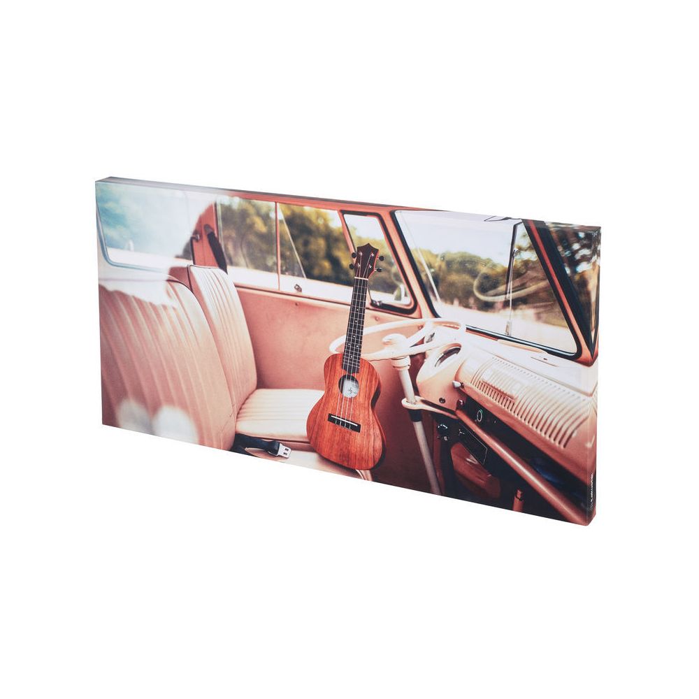 t.akustik Print Panel Driving Uke – Thomann Ireland