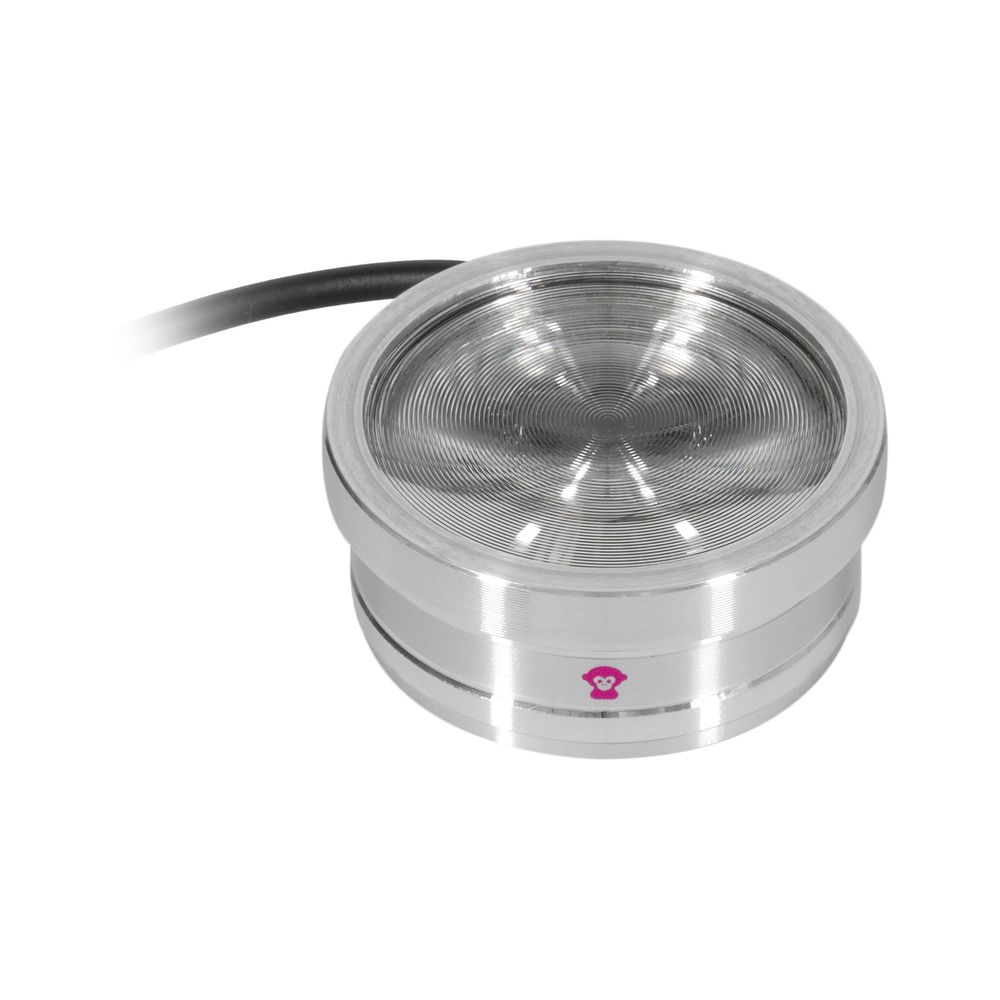 Ape Labs ApeCoin V2 IP Set of 4 – Thomann Ireland