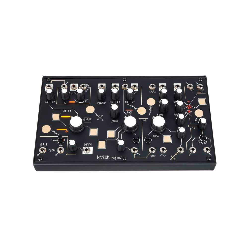 Make Noise Strega – Thomann Ireland