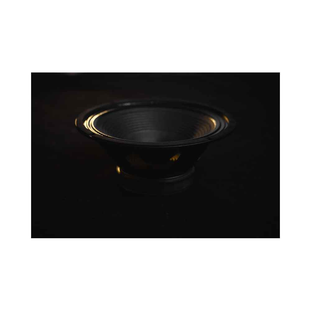 HESU Demon 12" 16 Ohms – Thomann Ireland