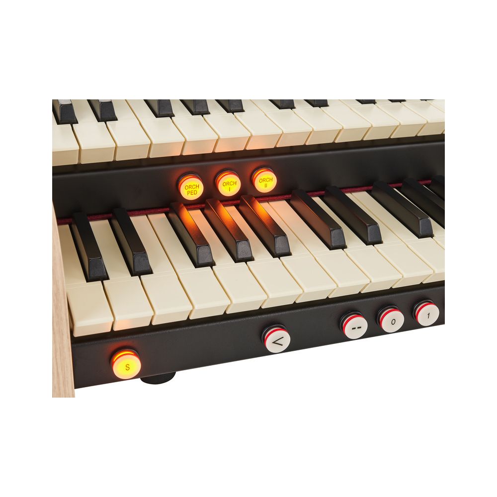 Viscount Cantorum Duo Plus – Thomann Ireland