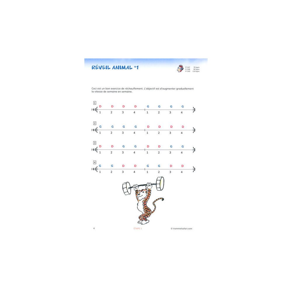 Trommelsafari.com Trommelsafari Snare Drum 1 FR – Thomann Ireland