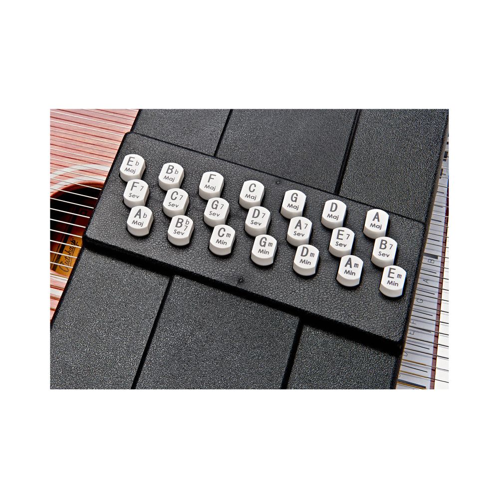 Oscar Schmidt OS21CE Autoharp Classic – Thomann Ireland