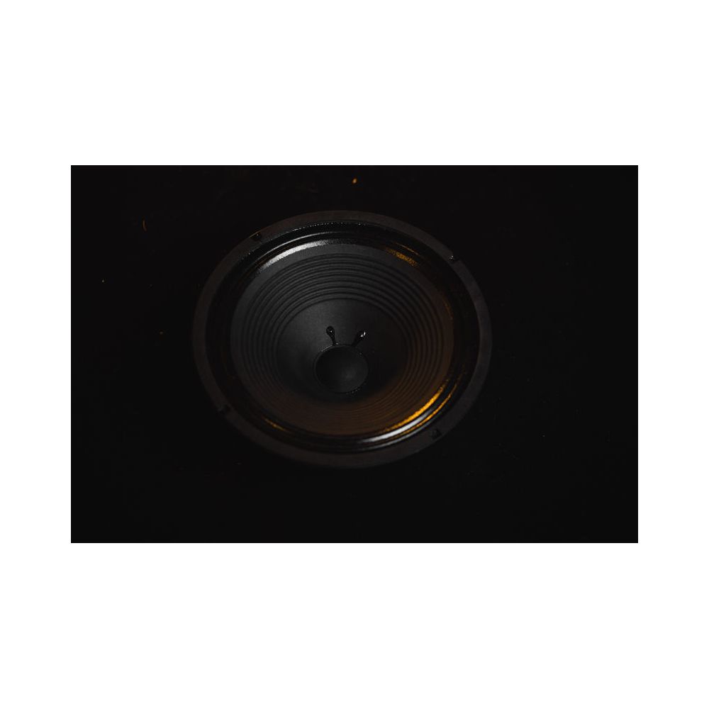 HESU Demon 12" 16 Ohms – Thomann Ireland