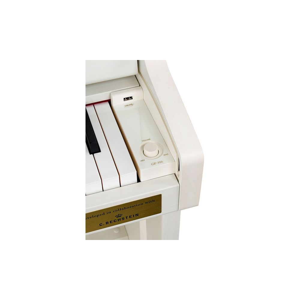 Casio GP
