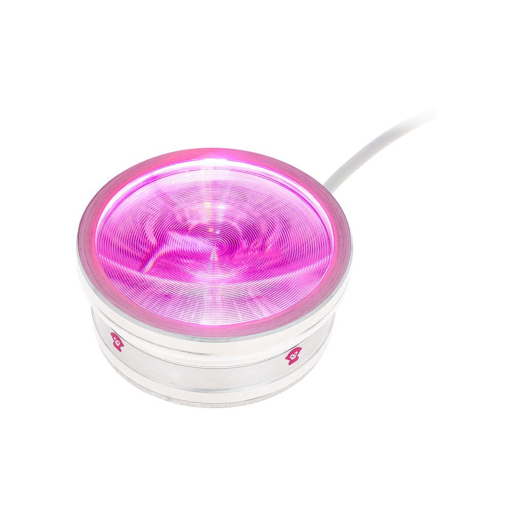 Ape Labs ApeCoin V2 USB Set of 4 – Thomann Ireland