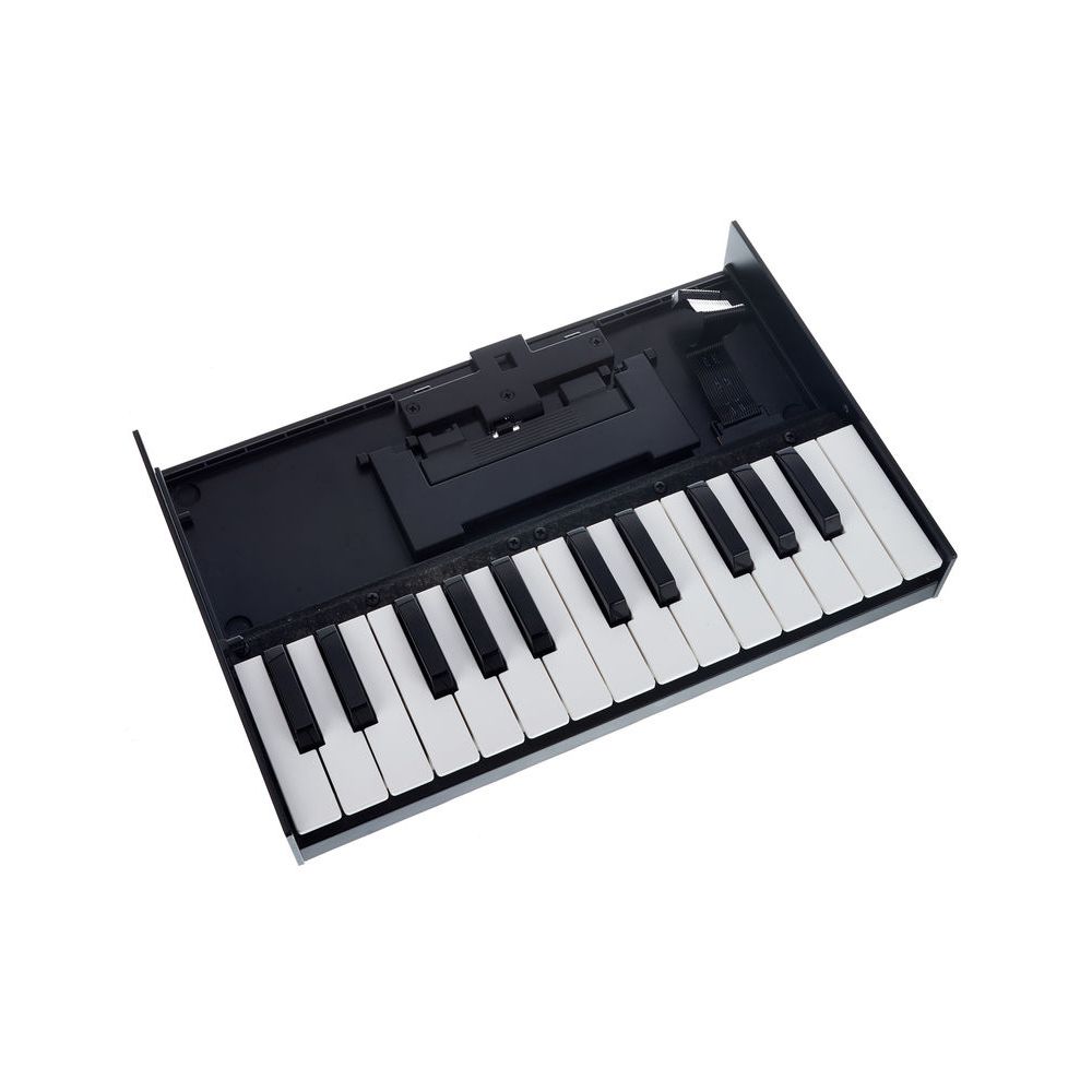 Roland Boutique K