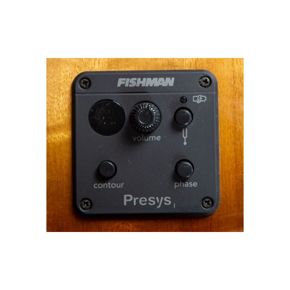 Breedlove Pursuit Exotic S Bass Amber CE – Thomann Ireland