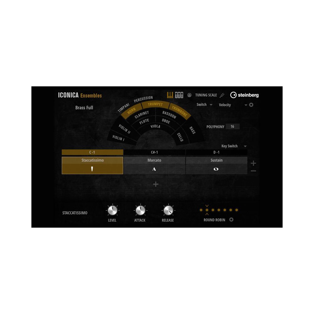 Steinberg Iconica Opus – Thomann Ireland