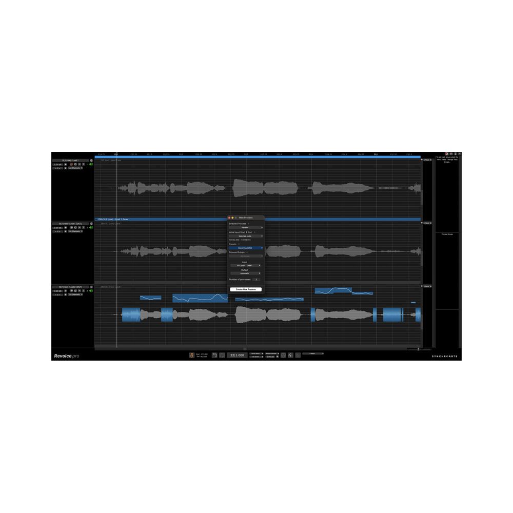 Synchro Arts Revoice Pro 5 UG Revoice Pro 4 – Thomann Ireland