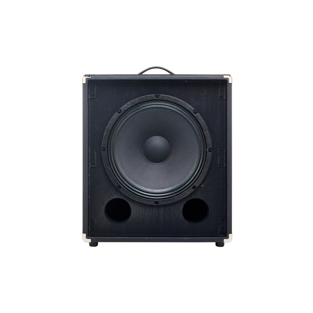 Fender Rumble 100  – Thomann Ireland