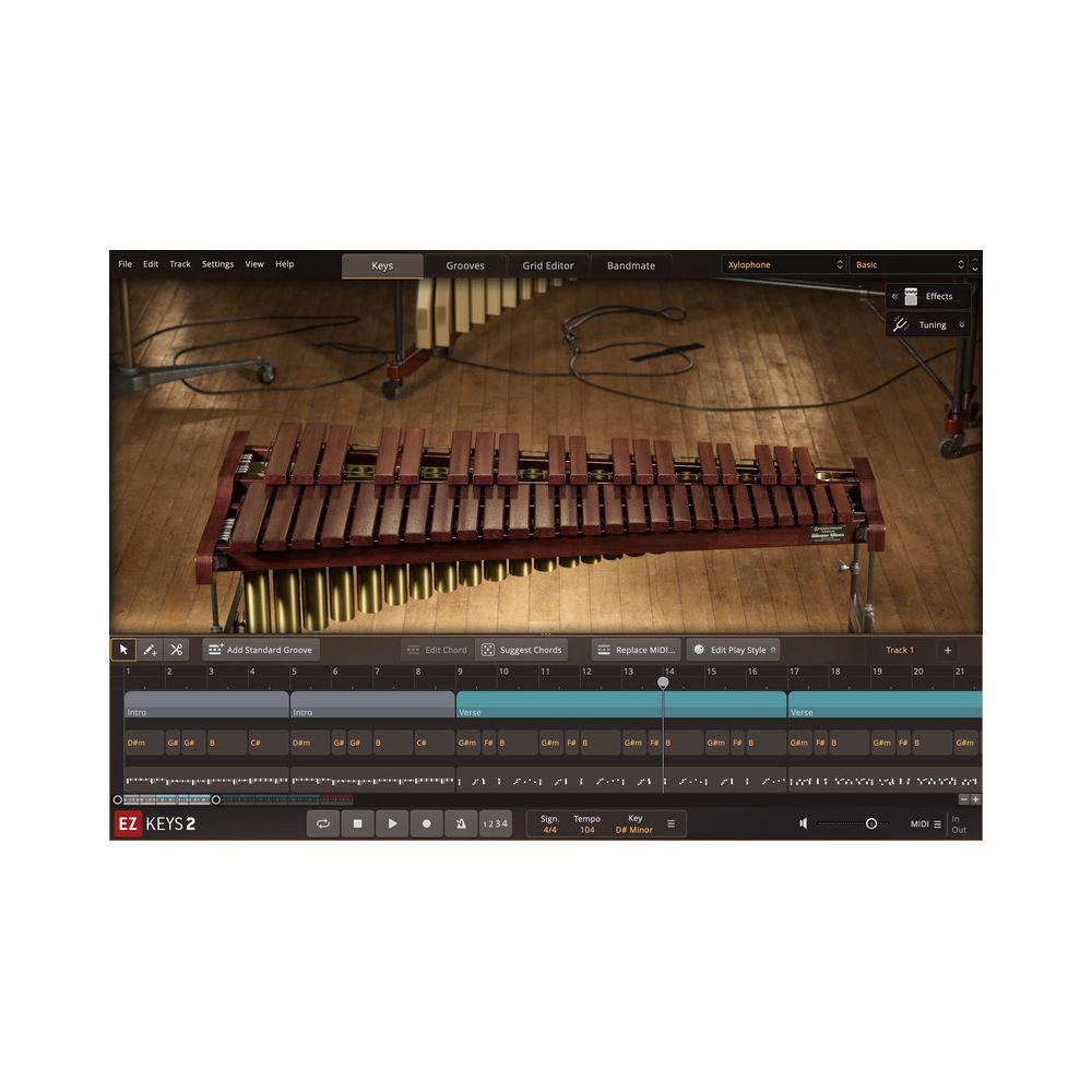 Toontrack EKX Melodic Percussion