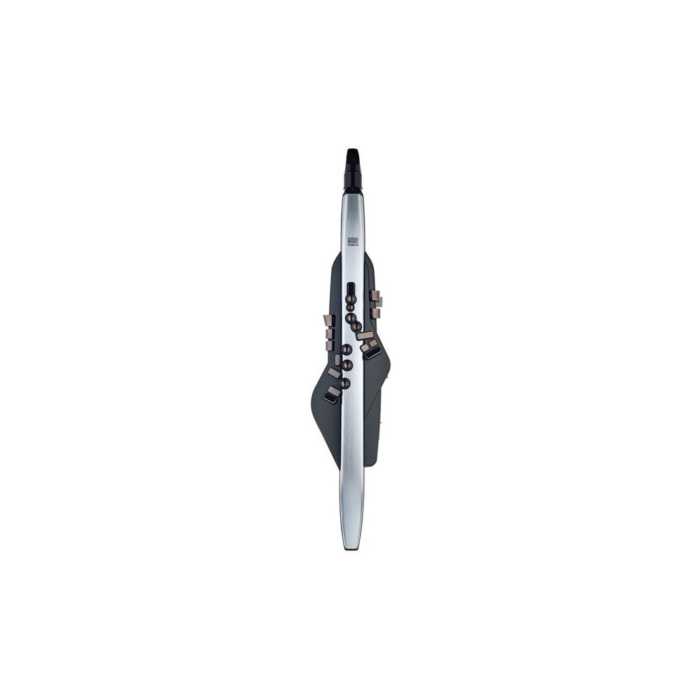 Roland Aerophone Pro AE