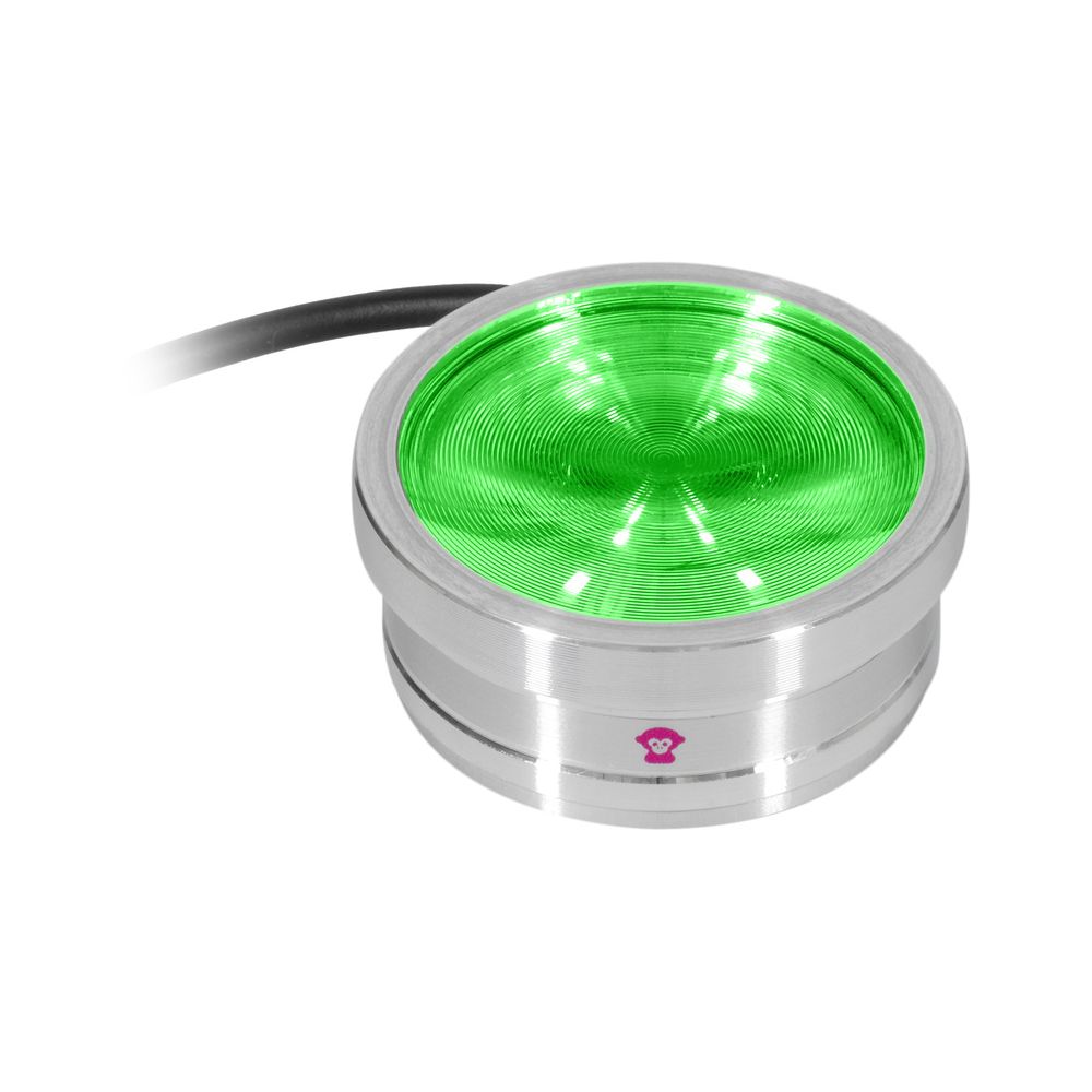 Ape Labs ApeCoin V2 IP Set of 4 – Thomann Ireland