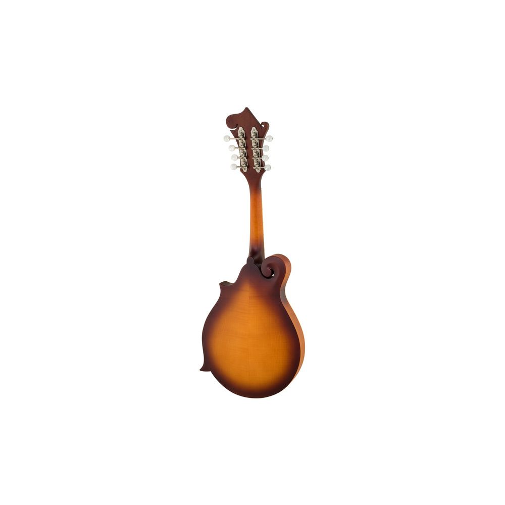 Epiphone F