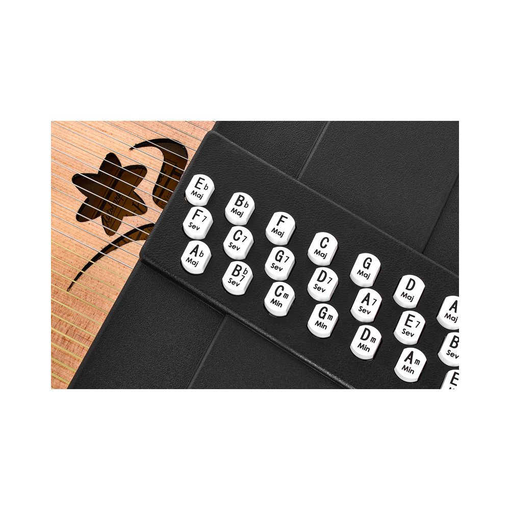 Oscar Schmidt OS45C Autoharp Appalachian – Thomann Ireland