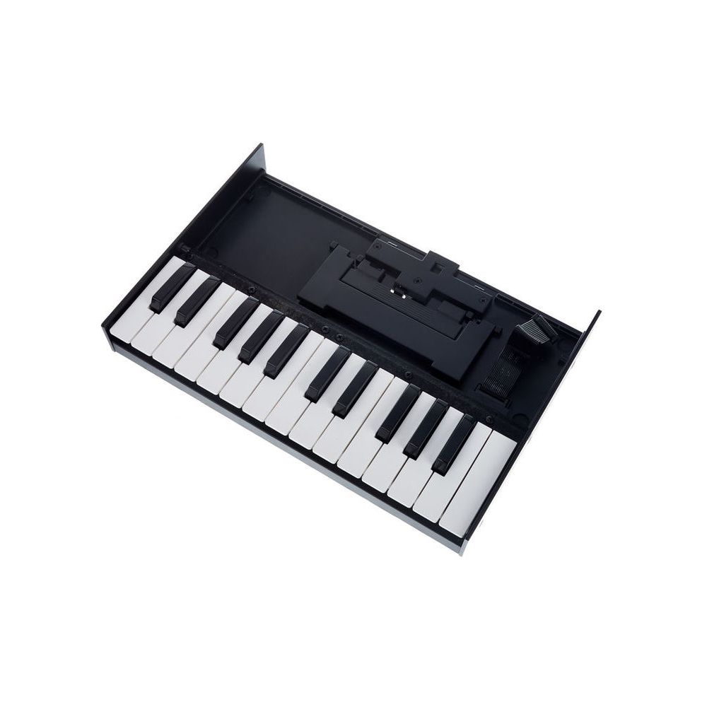 Roland Boutique K