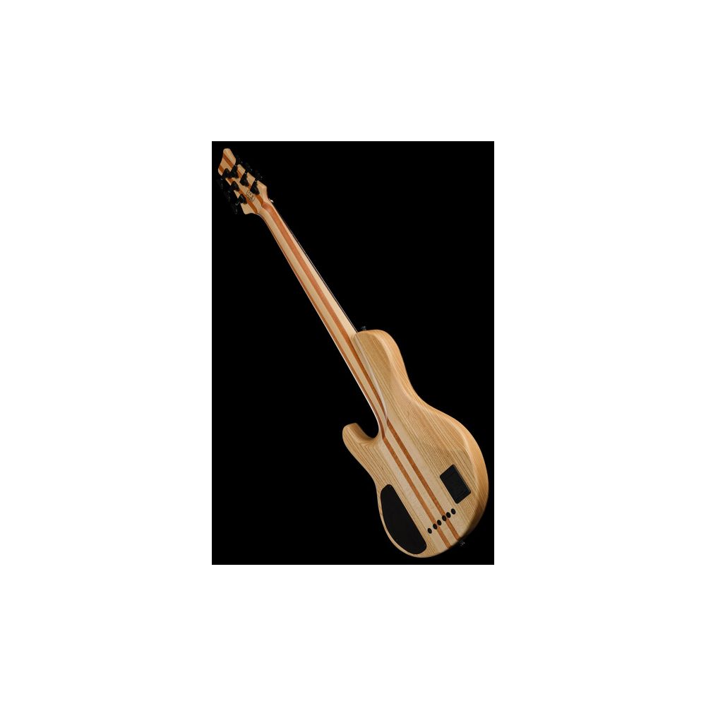 Marcus Miller F10