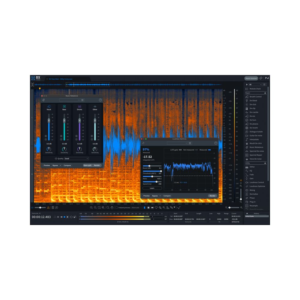 iZotope RX 11 Std UG RX St/Adv / PPS – Thomann Ireland