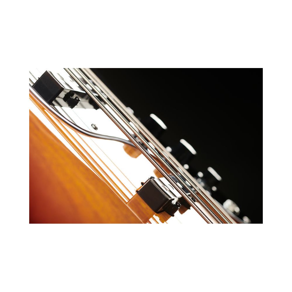Marcus Miller V5 Alder