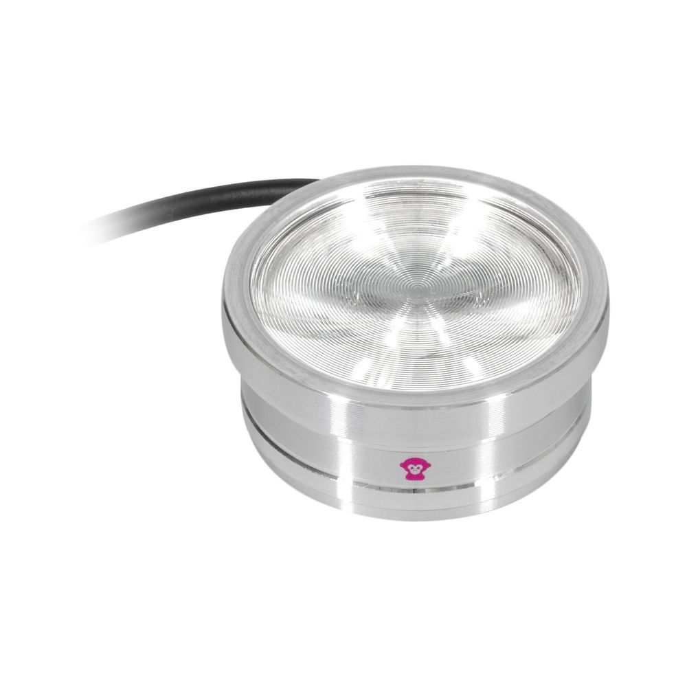 Ape Labs ApeCoin V2 IP Set of 4 – Thomann Ireland