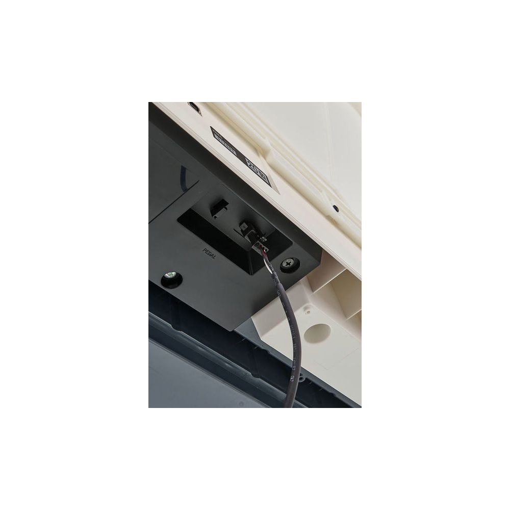 Korg B2 SP White – Thomann Ireland