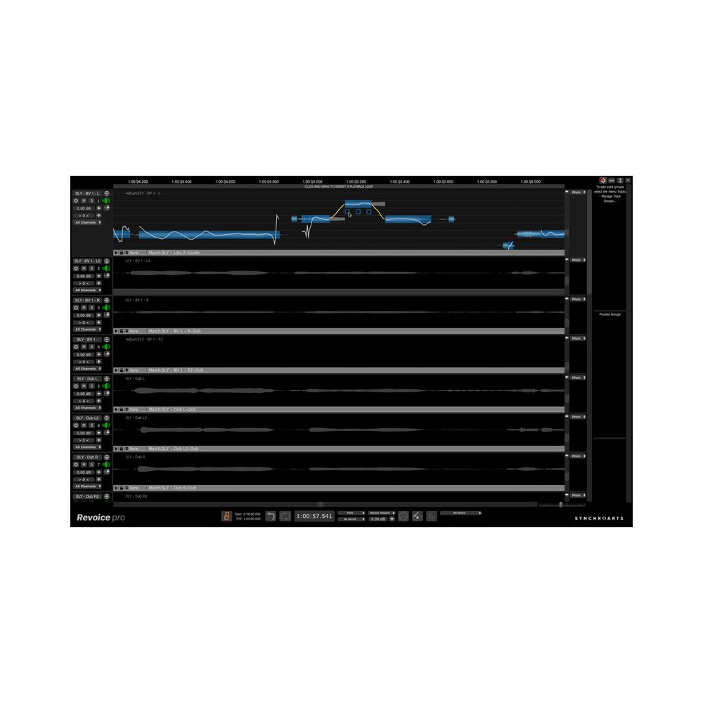 Synchro Arts Revoice Pro 5 UG Revoice Pro 4 – Thomann Ireland