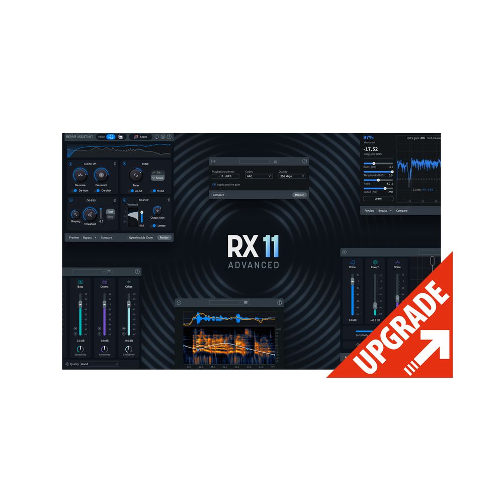iZotope RX 11 Advanced Crossgrade – Thomann Ireland