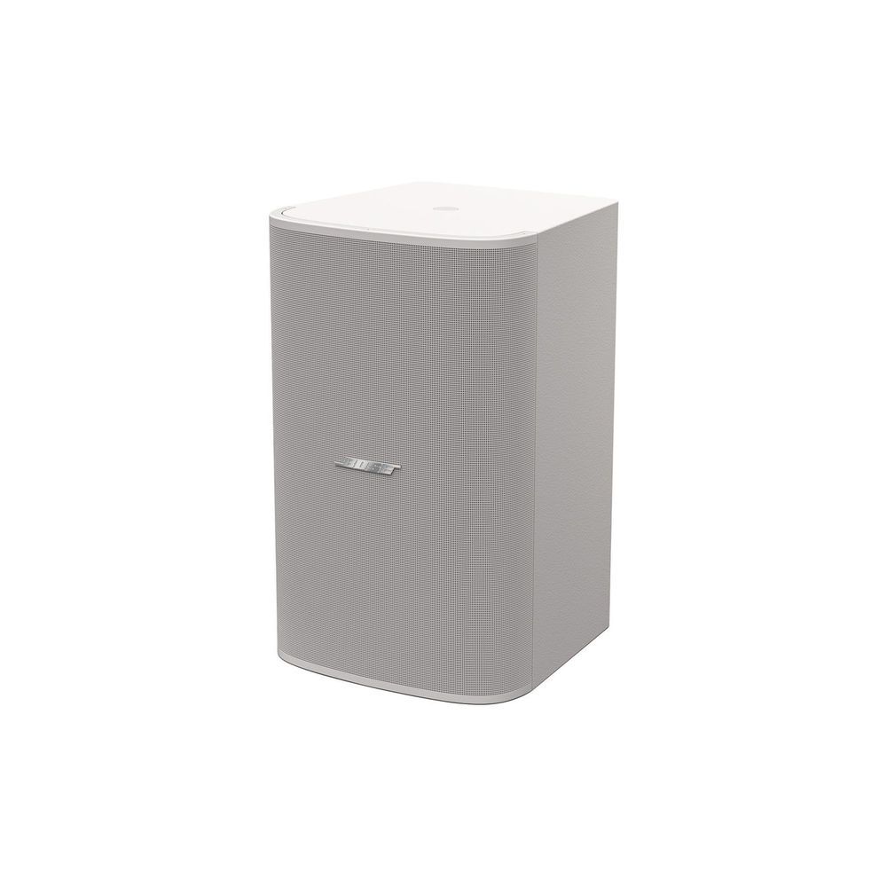 Bose Professional DesignMax DM10S